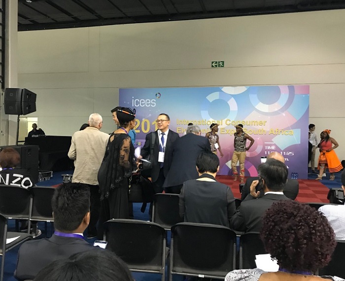 南非约翰内斯堡国际消费类电子展览会ICEES